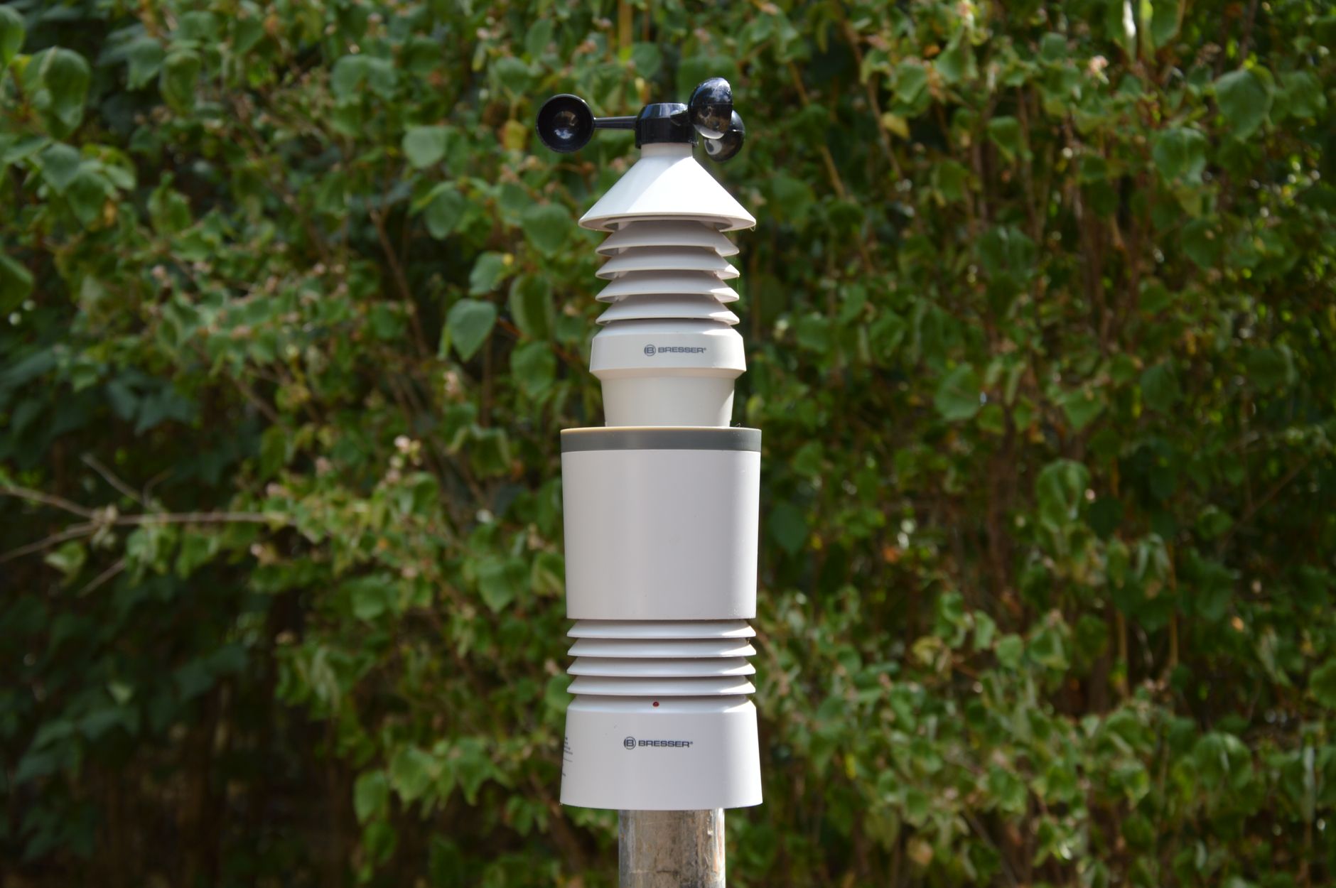 Close-up of a wireless weather station amidst green foliage.