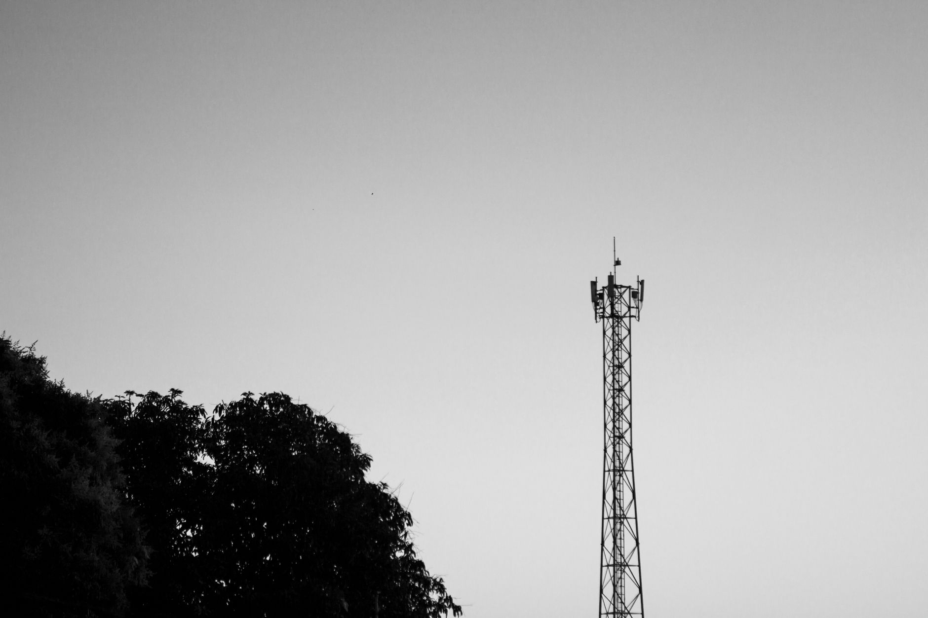 Trees and a communications tower illustrating potential obstructions to a clear satellite view.