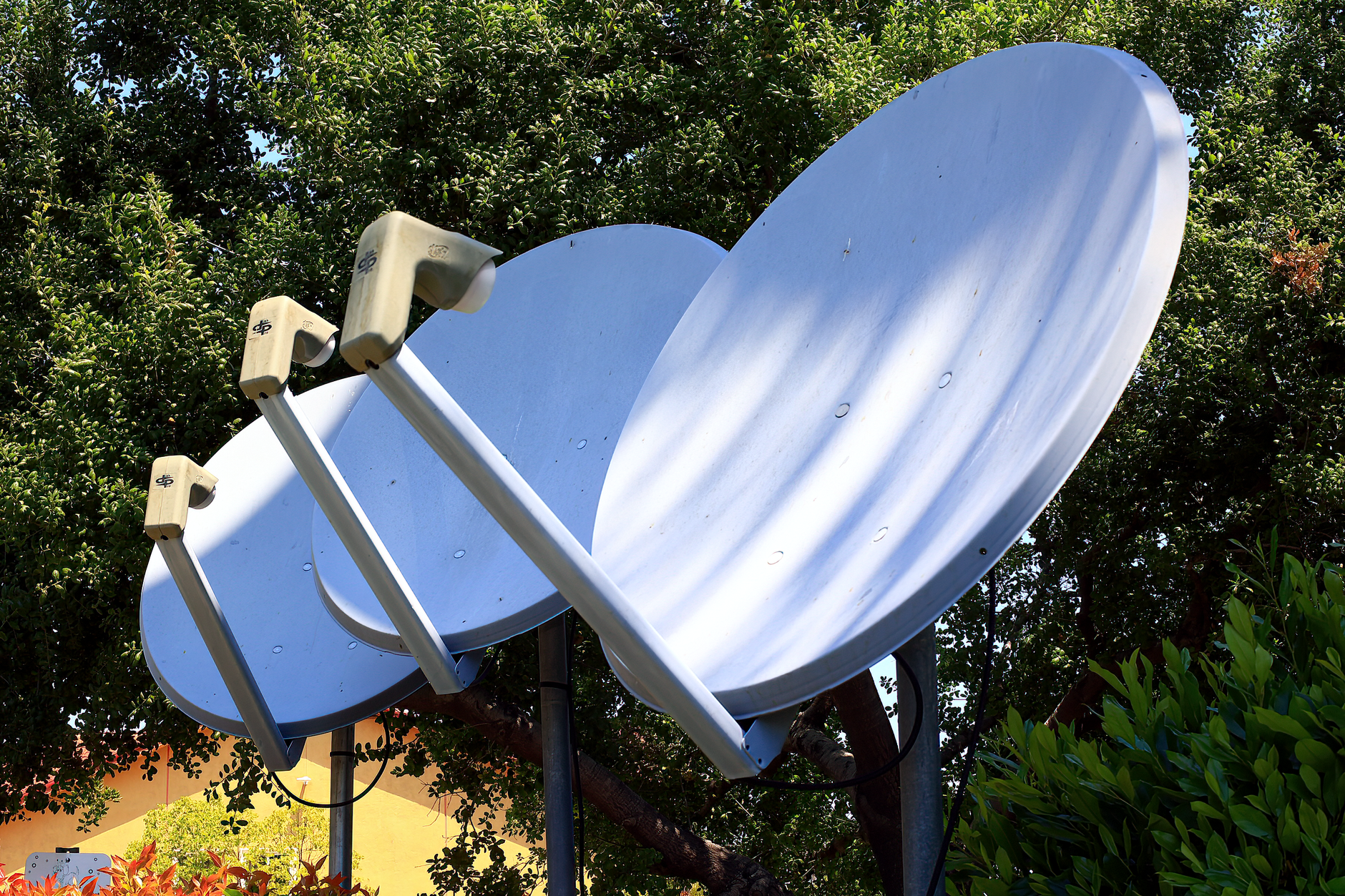 Satellite dishes in nature setting, emphasizing technology blend with environment.