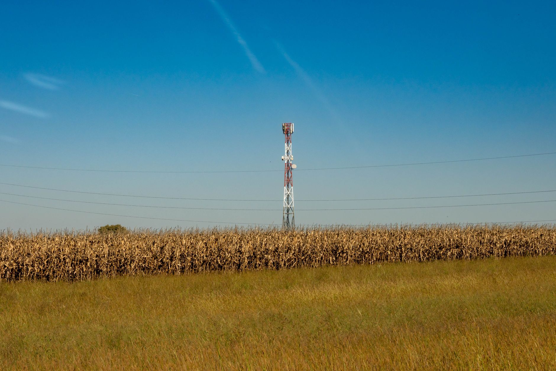 Mobile communication tower in a rural field