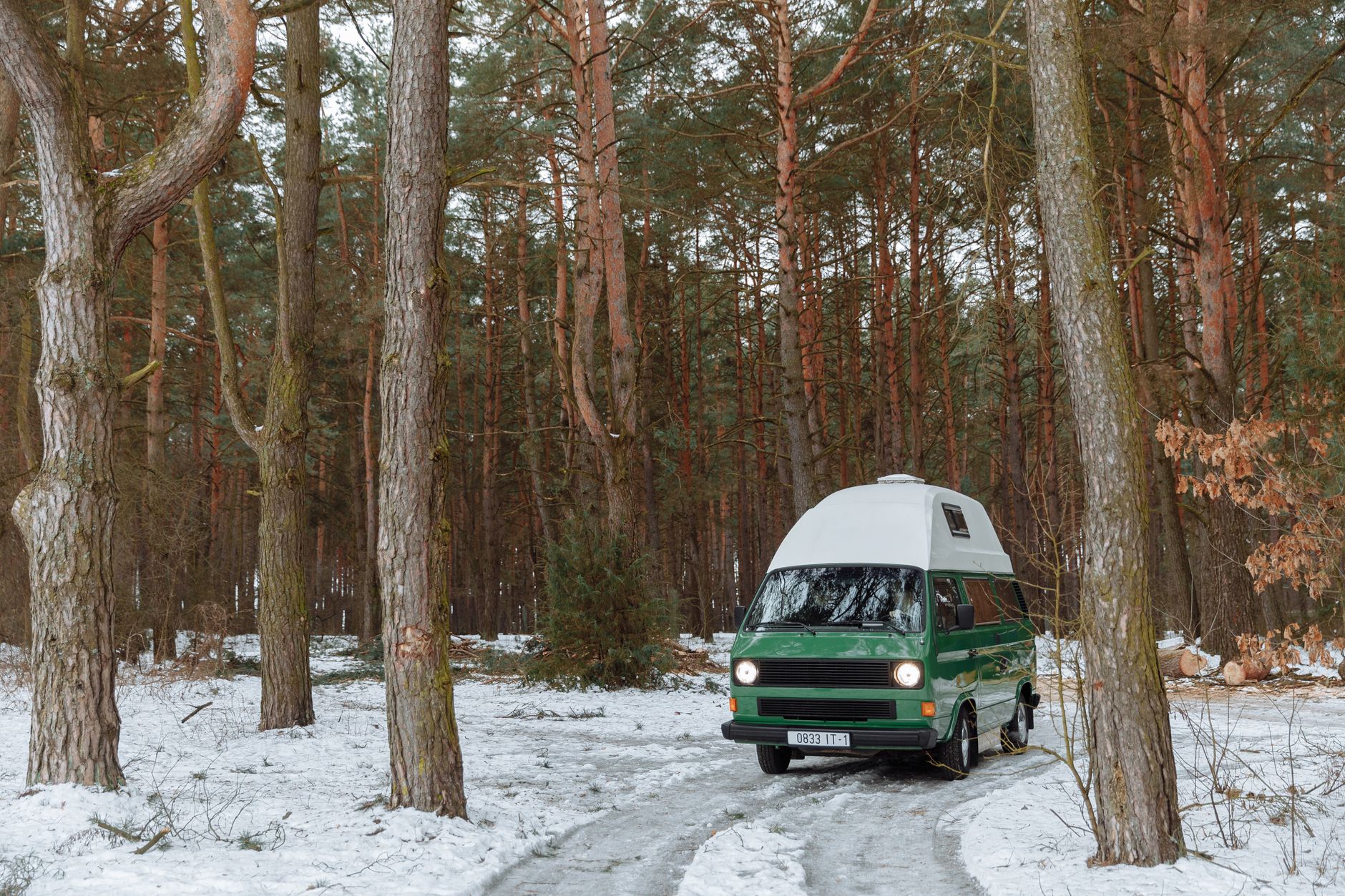 Campervan in a forest campsite