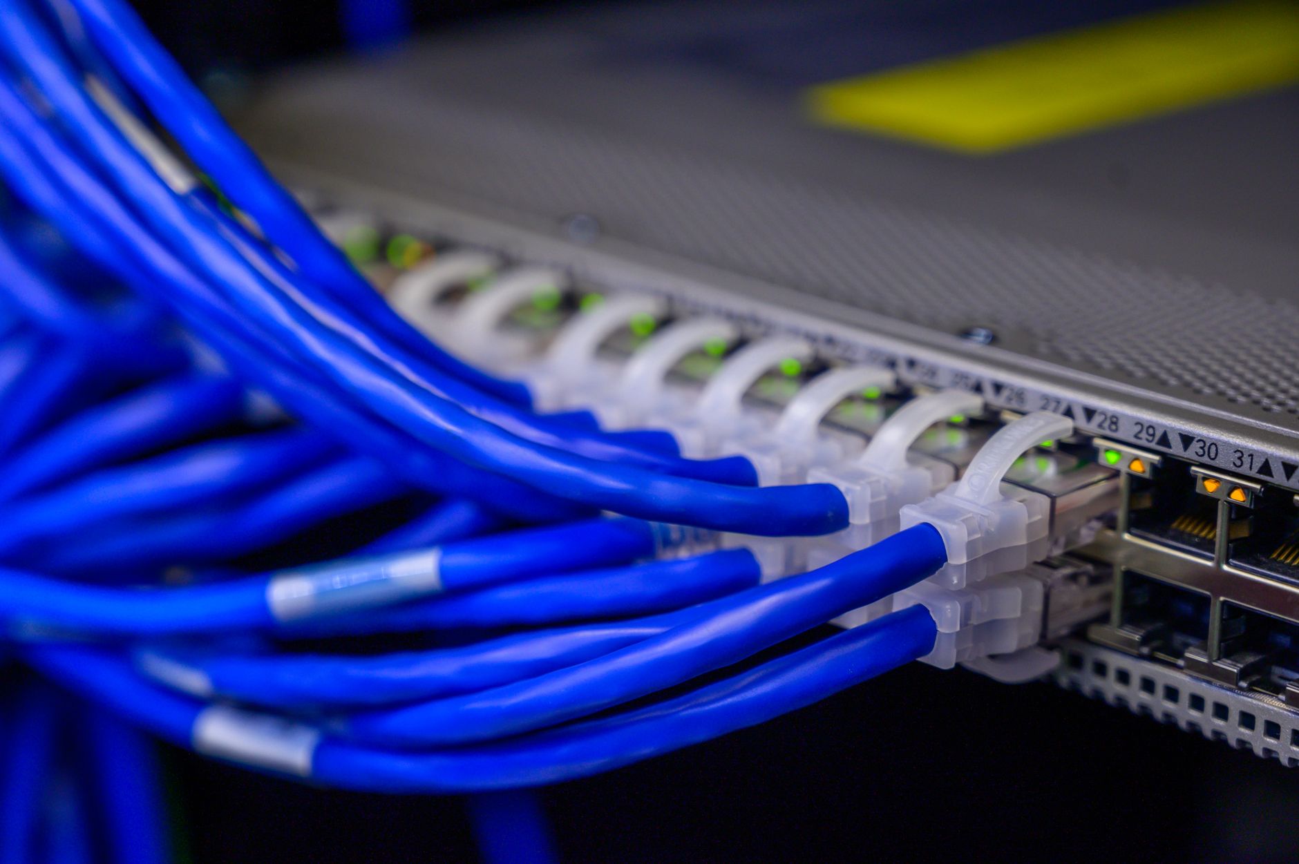 Blue Ethernet cables connected to a network switch
