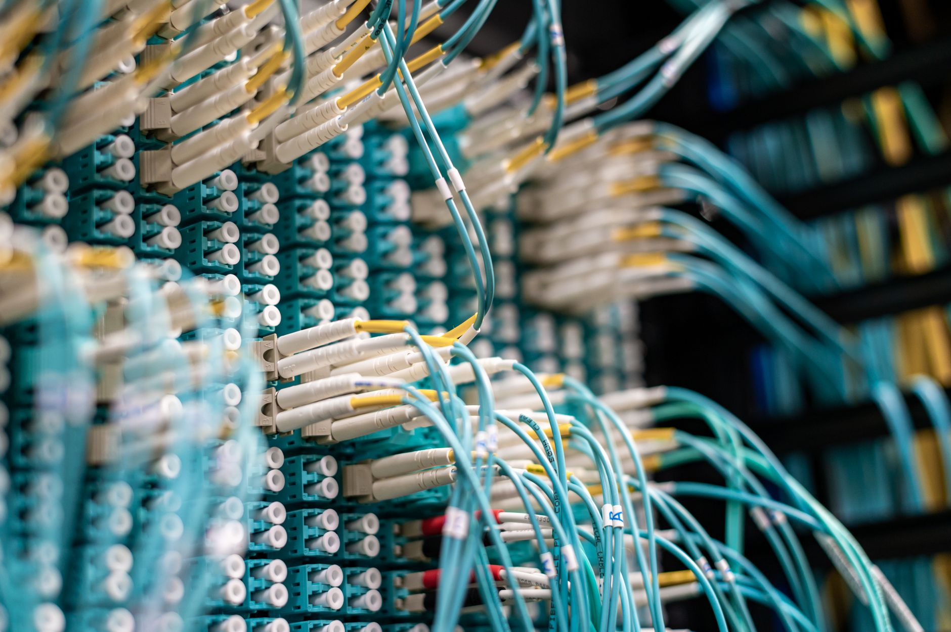 Organised network cables connected to a panel