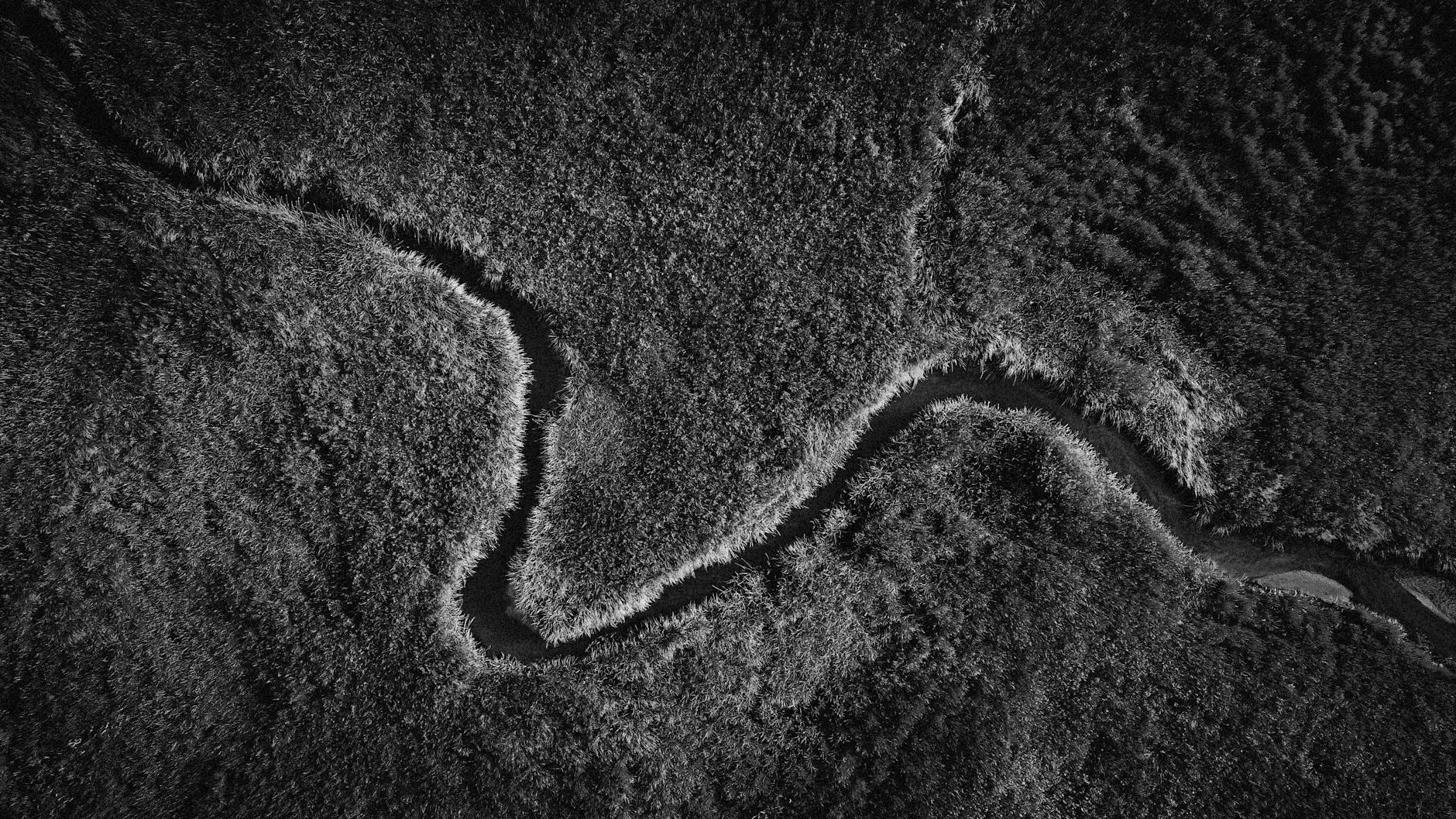 Aerial black and white image showcasing a winding river through textured grass fields in a natural abstract design.